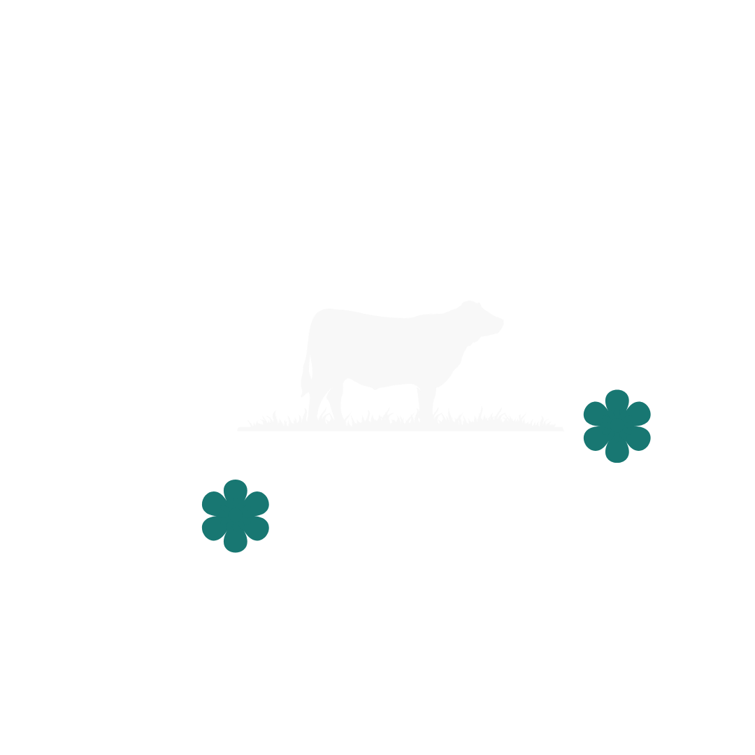 Salle La Marguerite - Salle de réception à Arnas